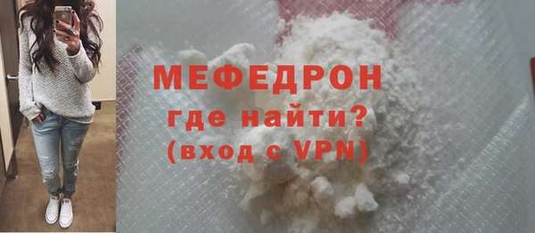 индика Бородино