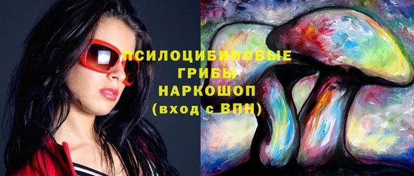 MDMA Богородицк