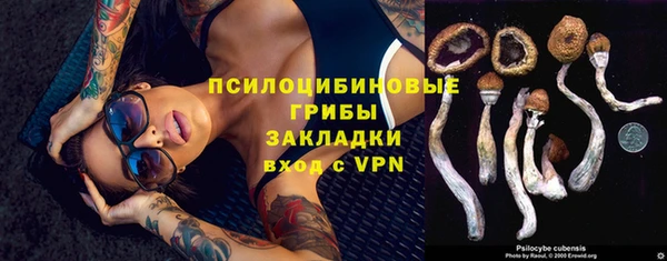 MESCALINE Богданович