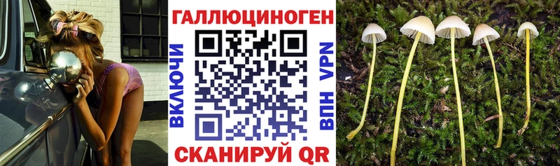 Галлюциногенные грибы Magic Shrooms  Петропавловск-Камчатский 
